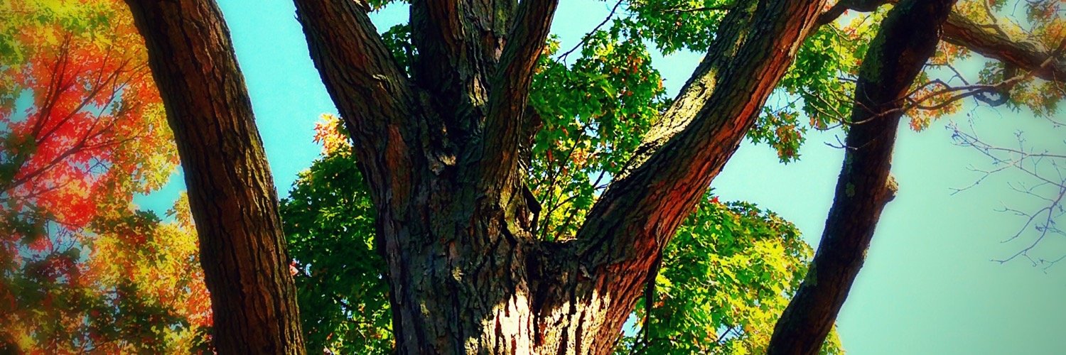 iansdrummond's profile banner image