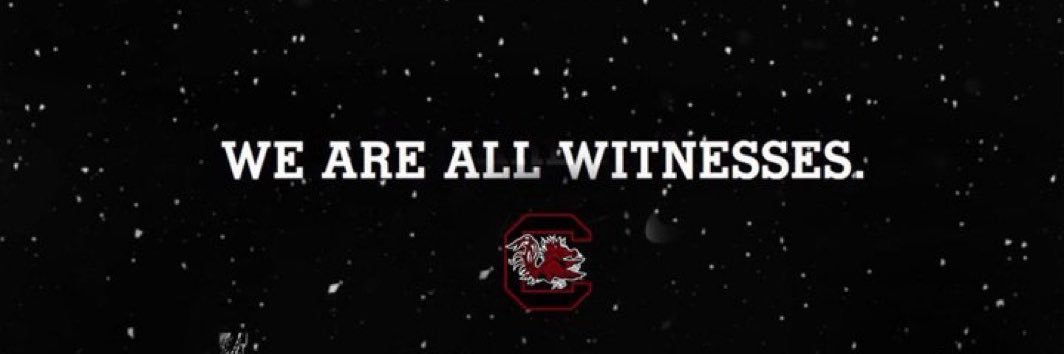 Gamecock Depression banner