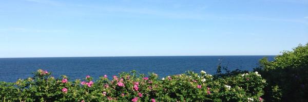 JanetFogarty Profile Banner