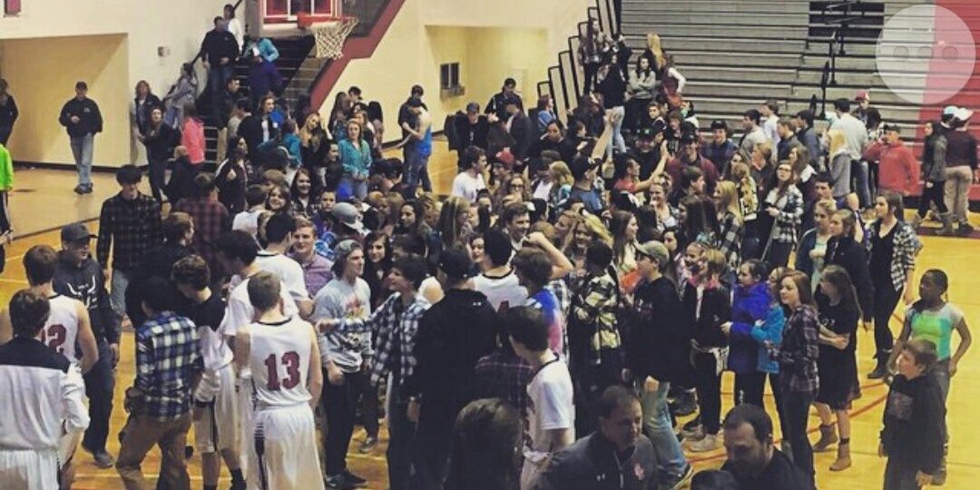 sbhsthemes's profile banner image