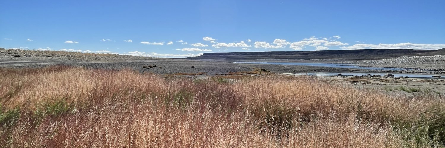 Rodrigo Álvarez banner