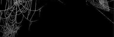 ch0kexd's profile banner image