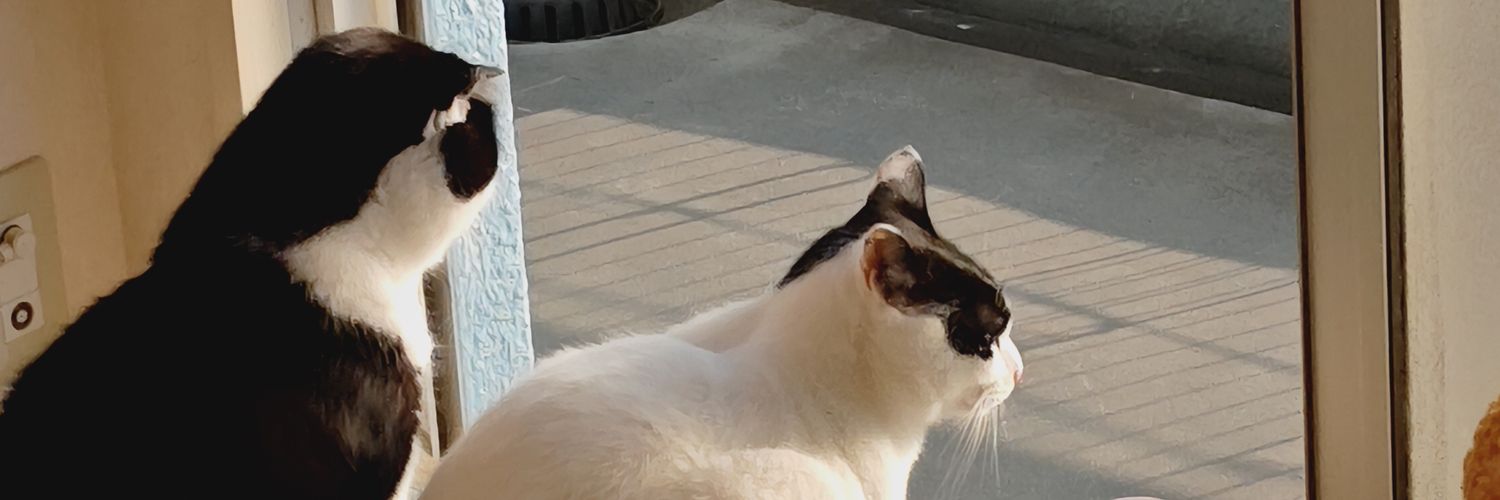 kurosame19731's profile banner image