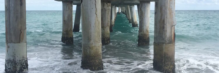 rosebellach's profile banner image
