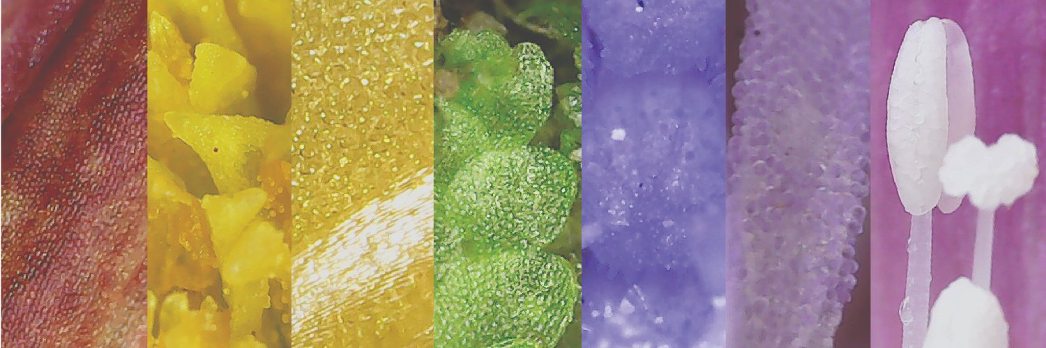 AnnCavanaugh327's profile banner image