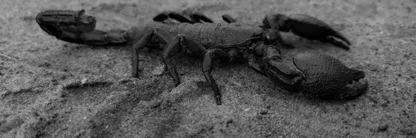 emeyke Profile Banner