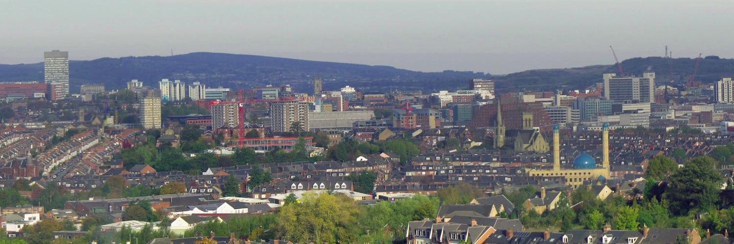 Sheffield Democracy banner