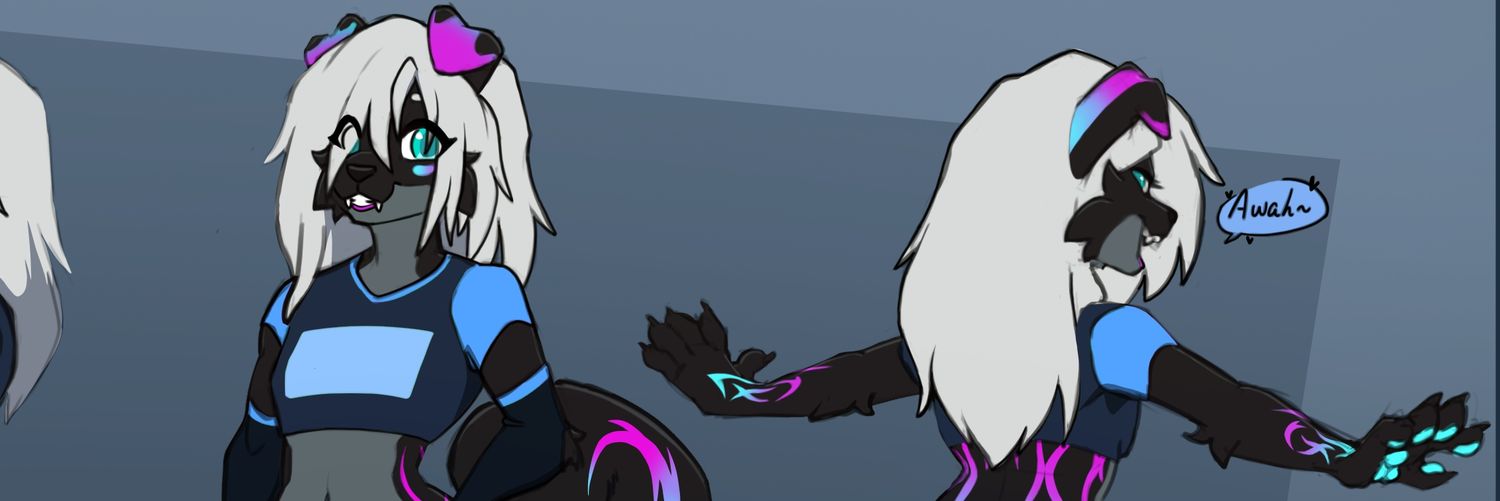 SH4PEZ's profile banner image