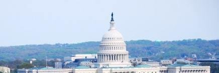 NSALDC's profile banner image