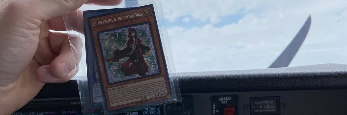 Shimness banner