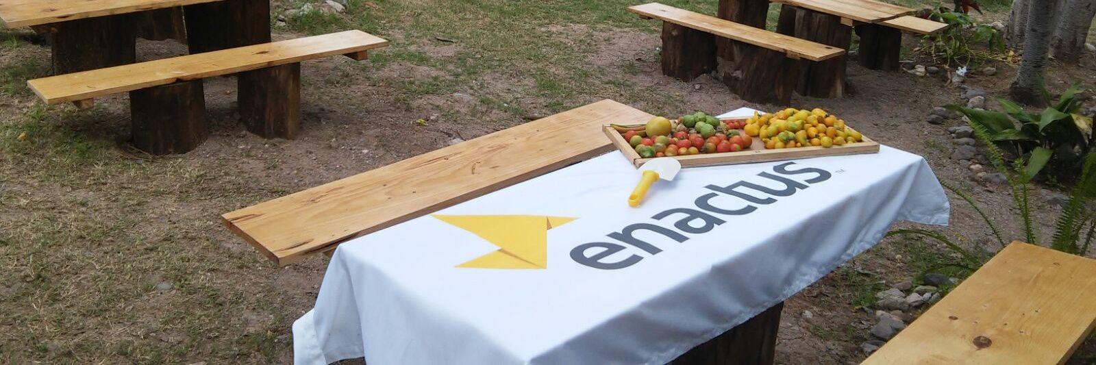 ENACTUS_UTM's profile banner image