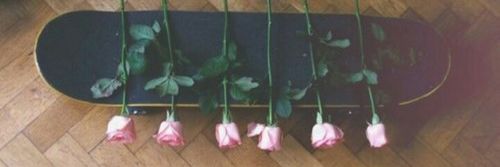 aaliya_howe's profile banner image