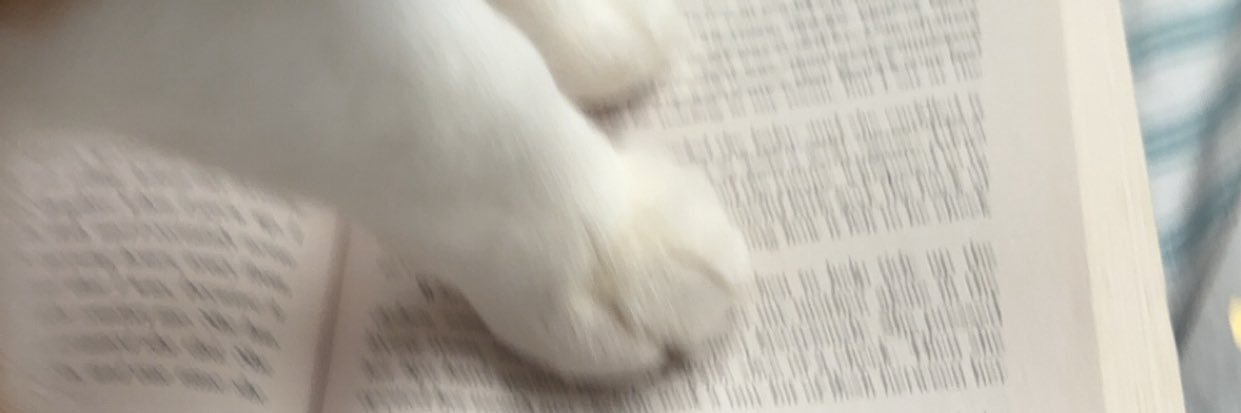 trinpj's profile banner image