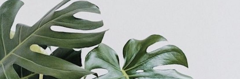 the_human_nemo's profile banner image
