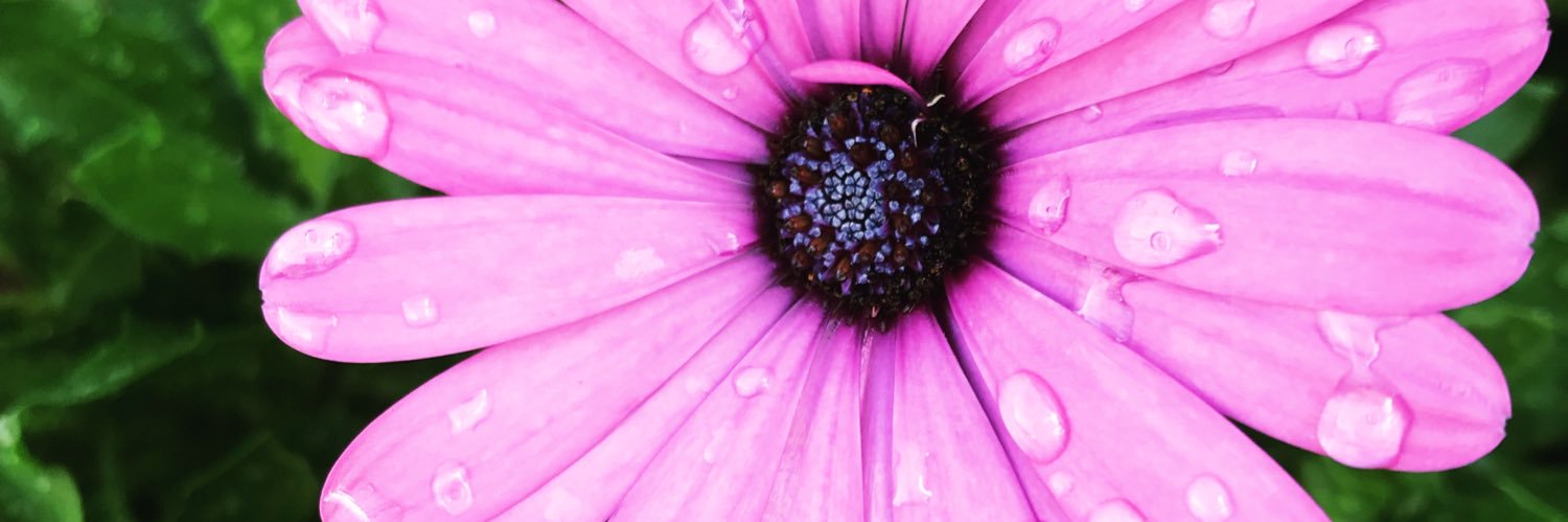 sar_aay's profile banner image