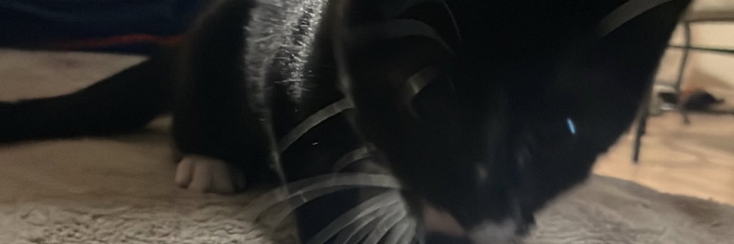 EricKiki_'s profile banner image