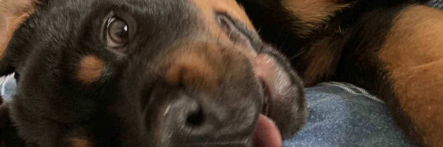 coyscab's profile banner image