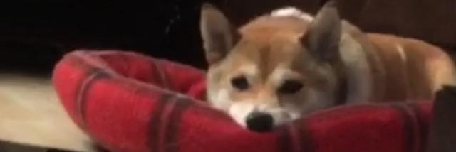 johnnnyyd's profile banner image