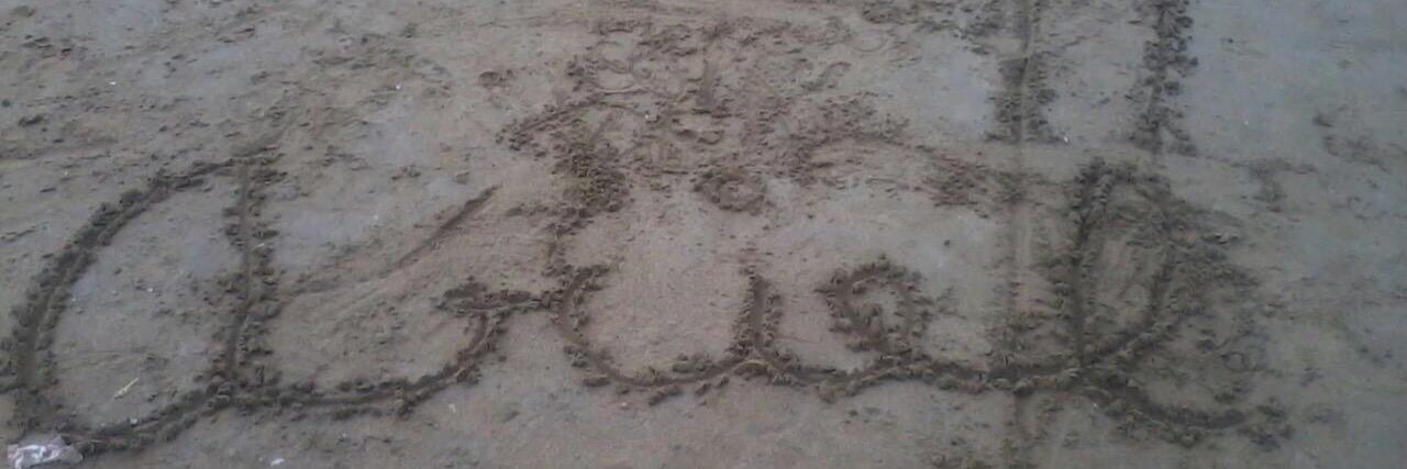 Maria Laura Martinez banner