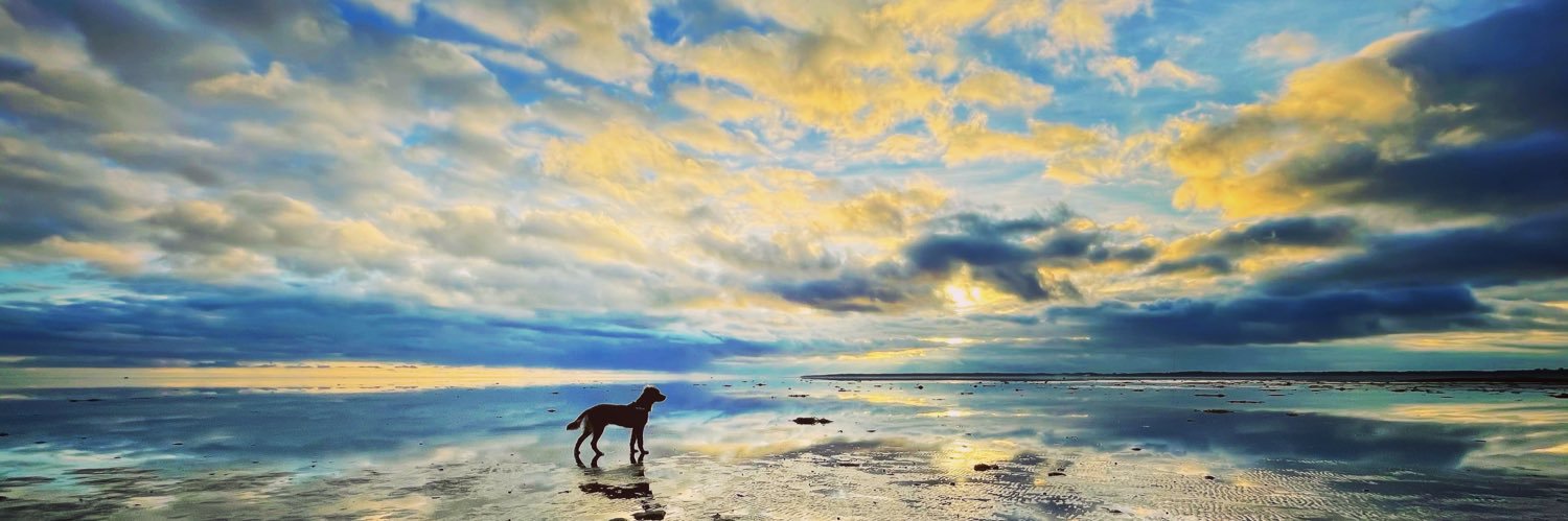 Nick Holmberg banner