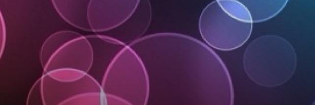 Stacey Stepniak banner