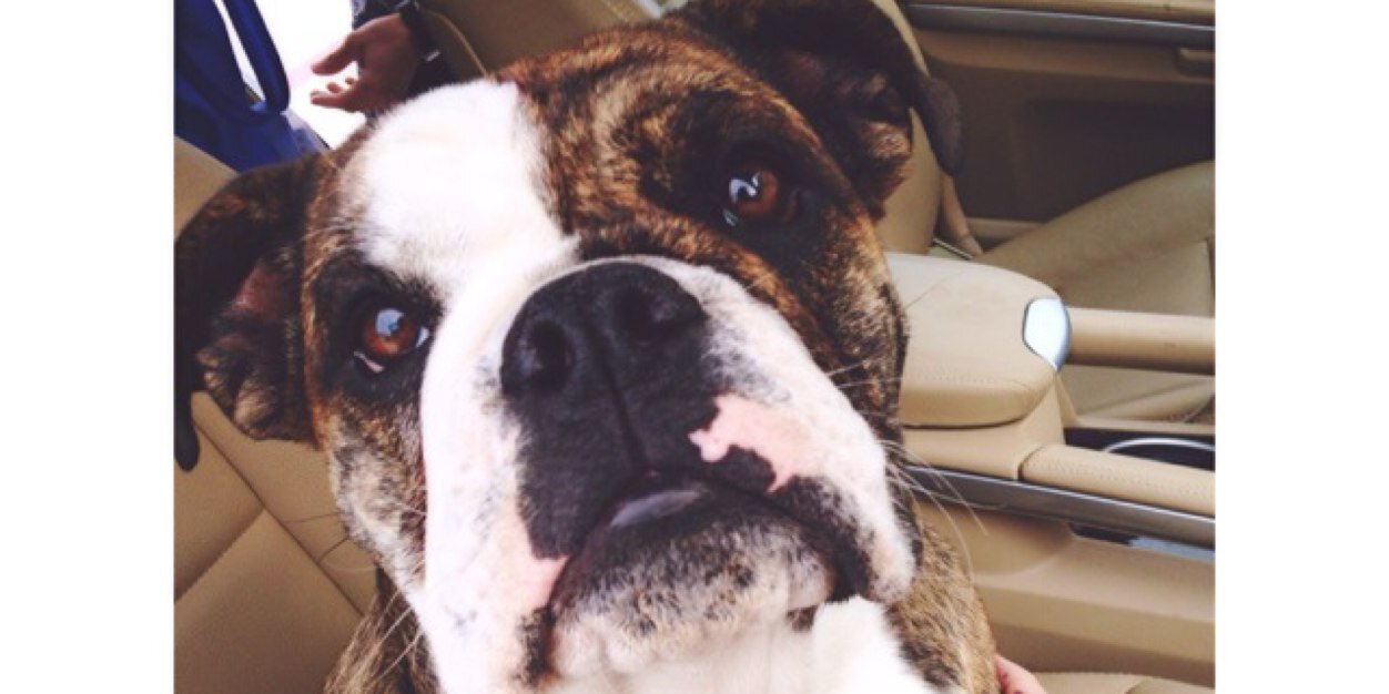 Whitney Craft Jones banner