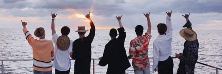 vivicom29's profile banner image