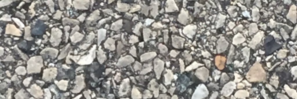 trees_marie's profile banner image