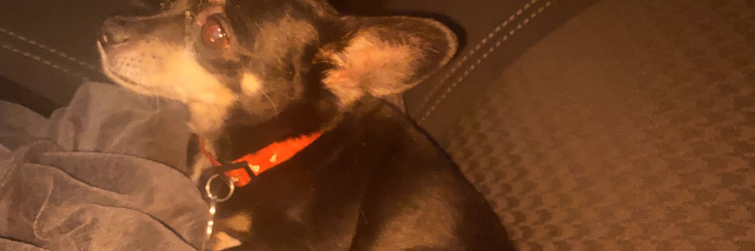 _gizxmo's profile banner image