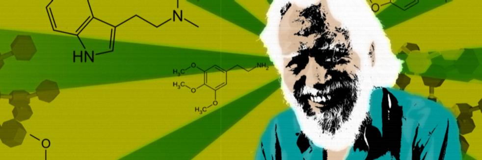 Traduciendo Shulgin banner