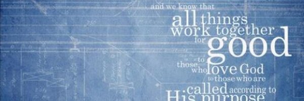 StephanieCLT Profile Banner