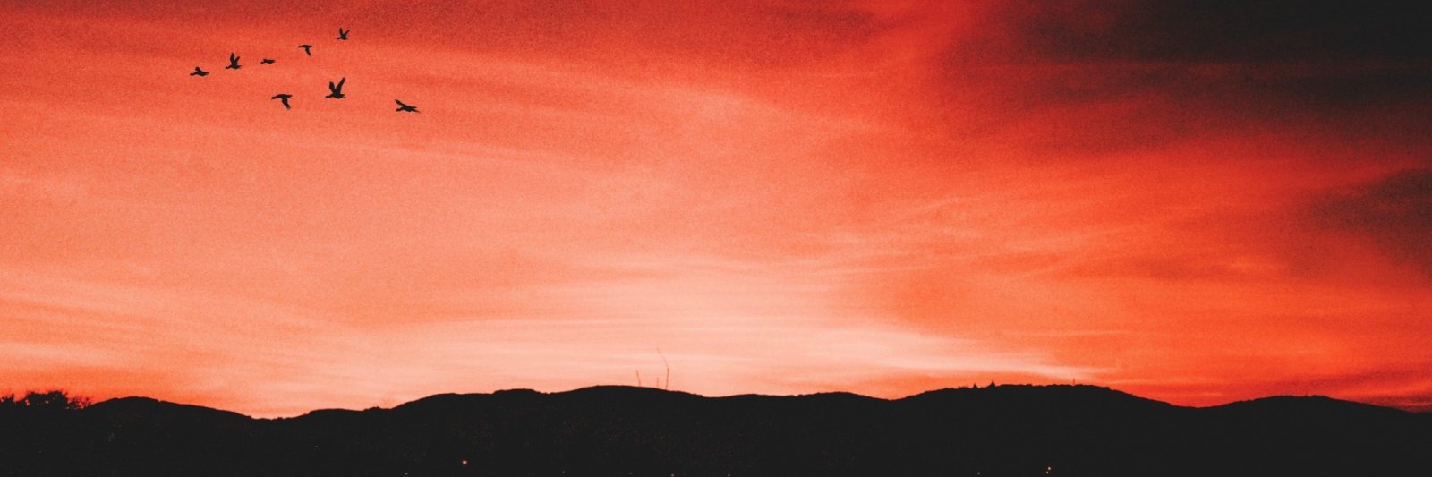 MAGlCSH0P's profile banner image