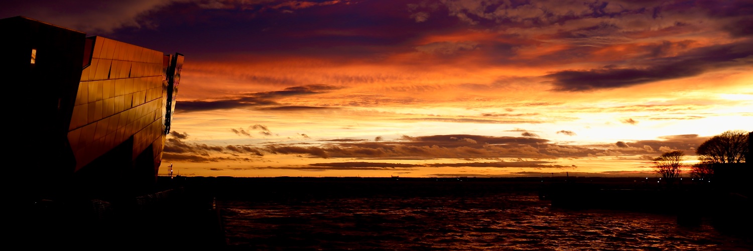 melmarriott's profile banner image