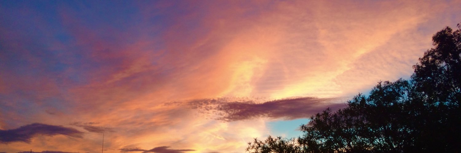 therealmikeroby's profile banner image