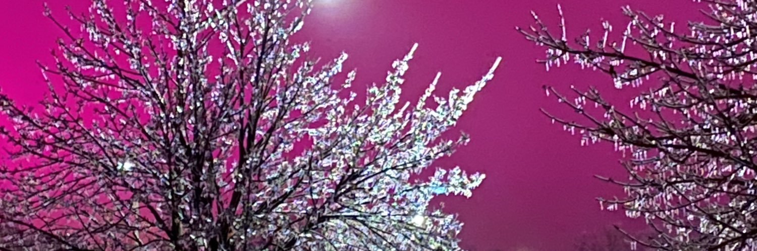 JamesBoutros's profile banner image