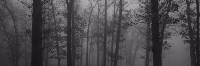 CamilaTorrez19's profile banner image