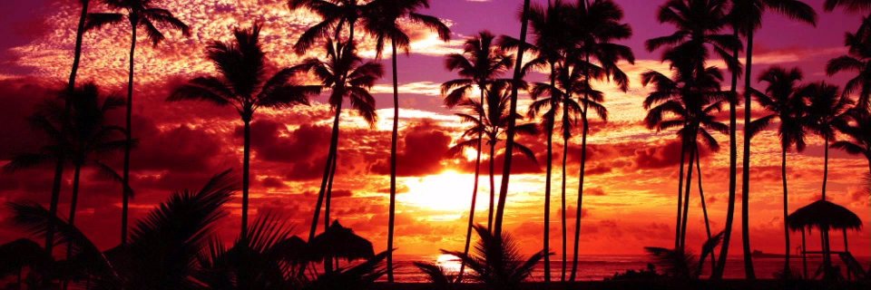 Amanda_gct's profile banner image