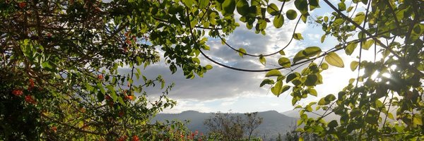 ColyElhai Profile Banner