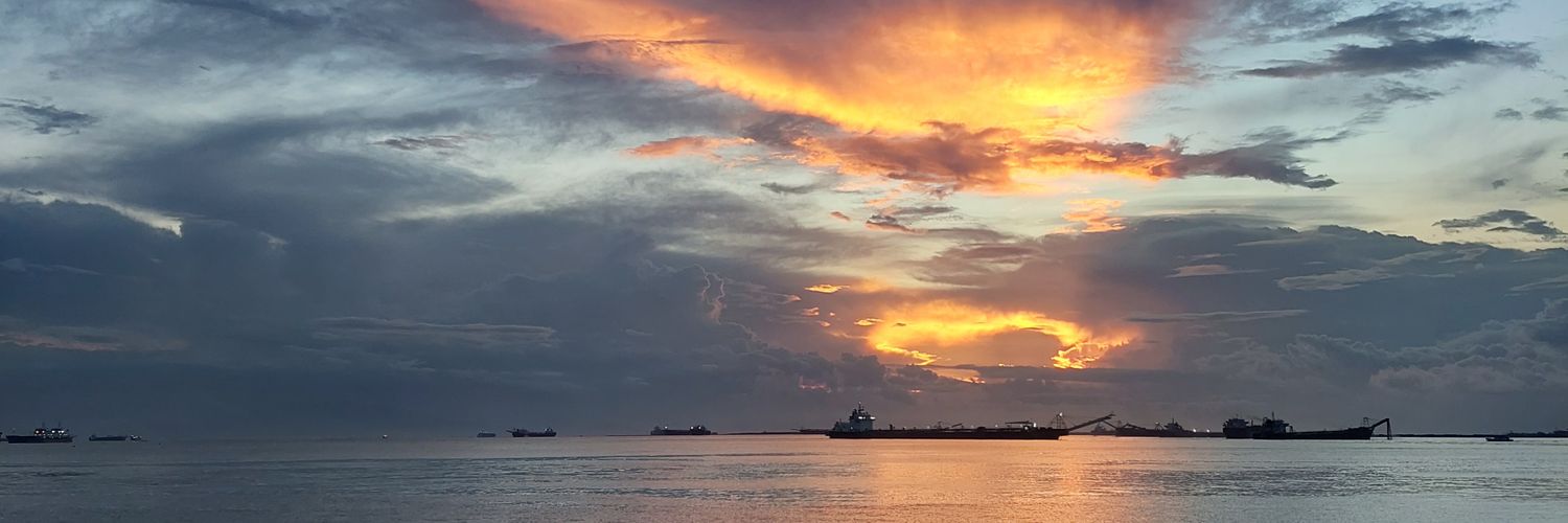 miraraaa's profile banner image