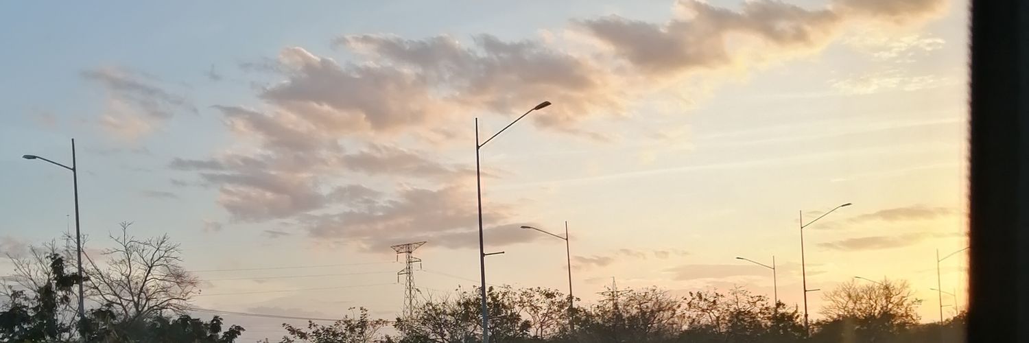 GiselleRamirezA's profile banner image