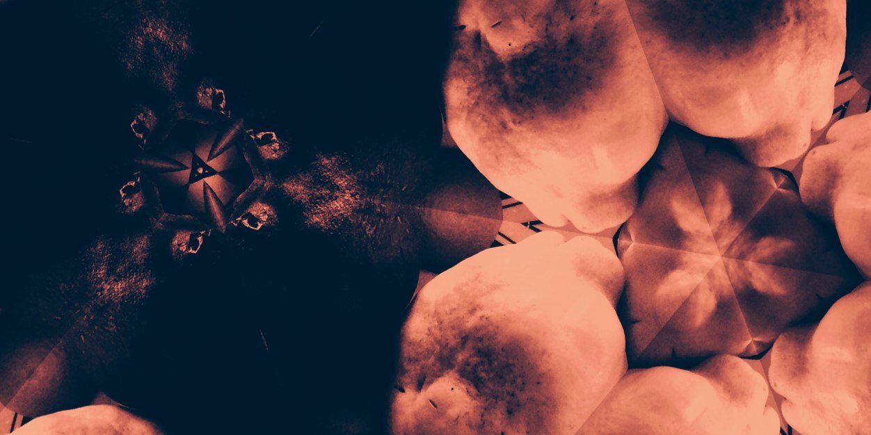 roskoB32's profile banner image
