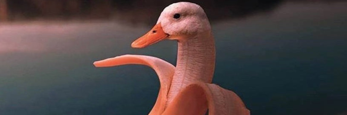 HumorAndTruth's profile banner image