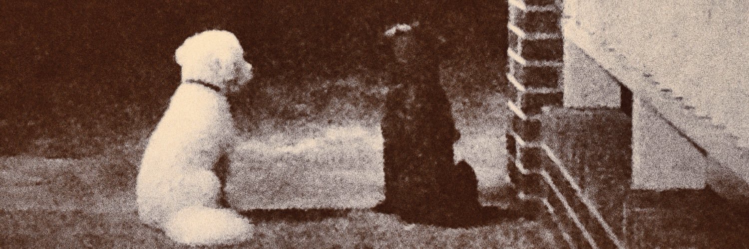 FrangstaGangsta's profile banner image