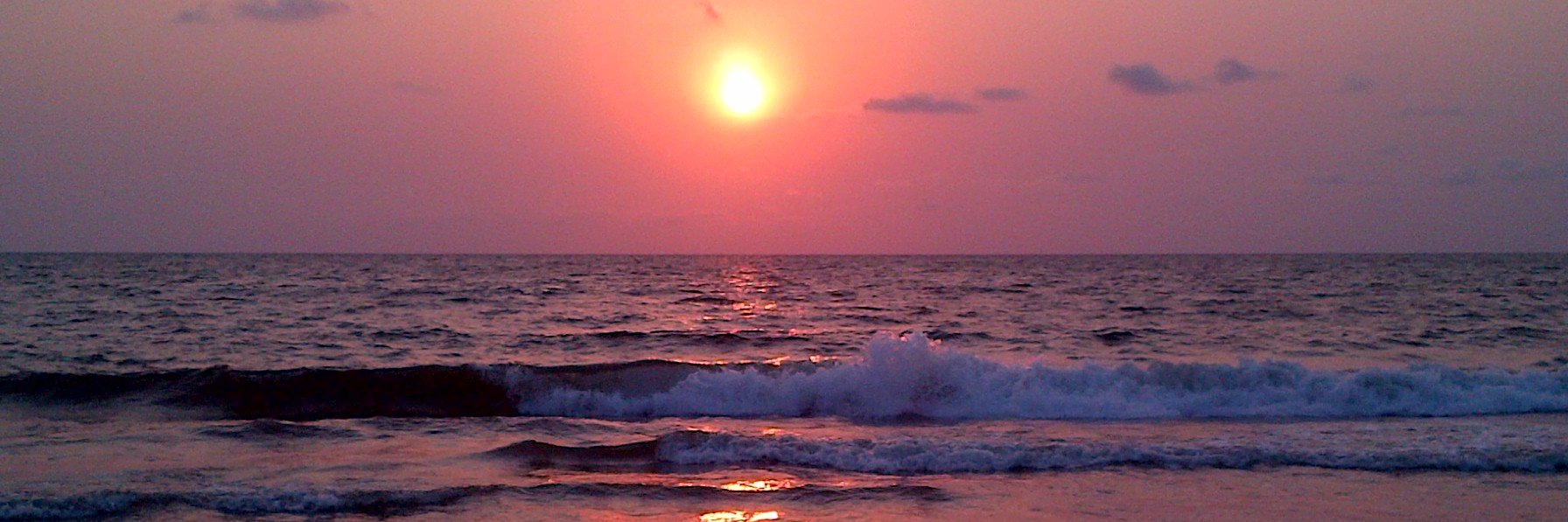 Carolina Rentería banner