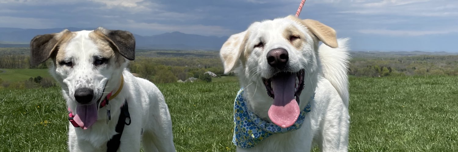 merrdit's profile banner image