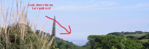 choses_vertes banner