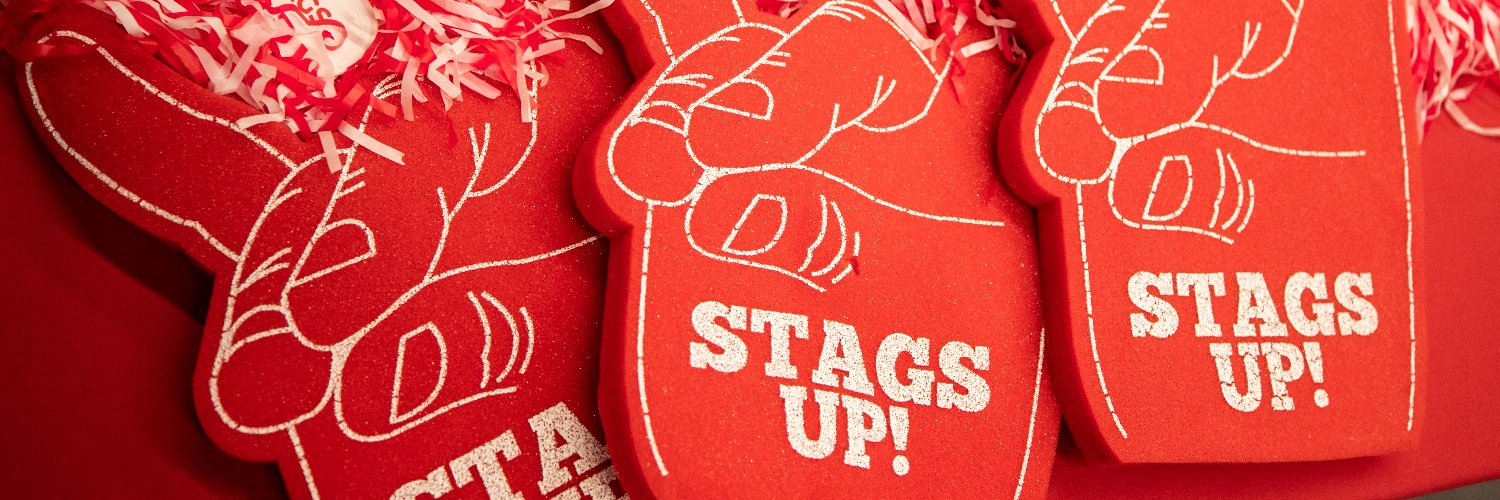 Fairfield Stags's banner