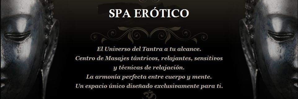 SraAndreaSpa's profile banner image