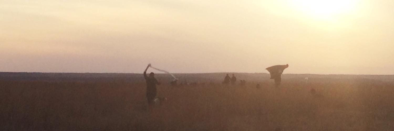 cstric's profile banner image