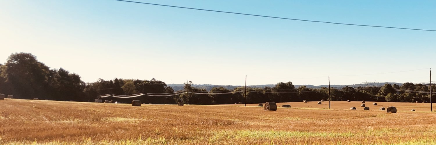 TECostigan's profile banner image